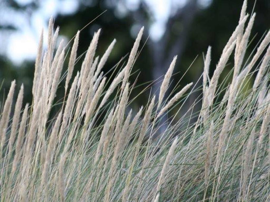Höllviksnäs möten mat logi Höllviken Exteriör bild